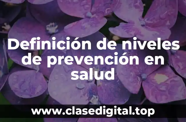 Definición de niveles de prevención en salud