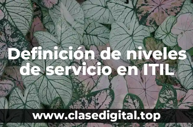 Definición de niveles de servicio en ITIL