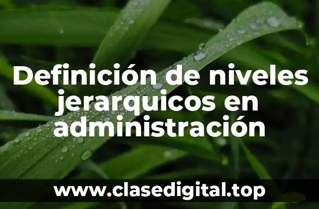 Definición de niveles jerarquicos en administración