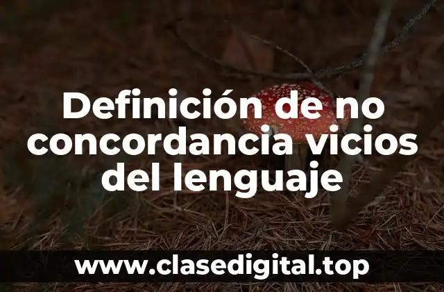 Definición de no concordancia vicios del lenguaje