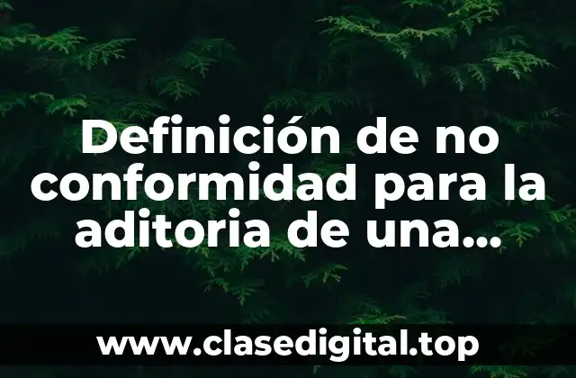 Definición de no conformidad para la aditoria de una escuela