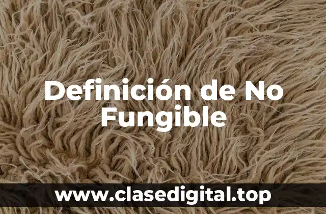 Definición de No Fungible