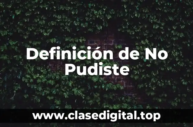 Definición de No Pudiste
