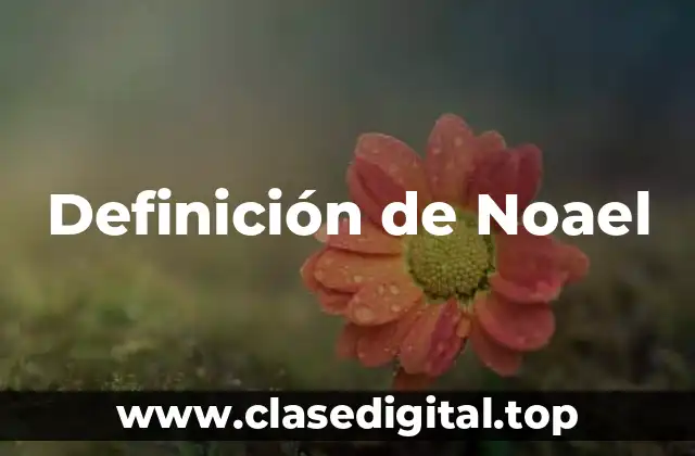 Definición de Noael