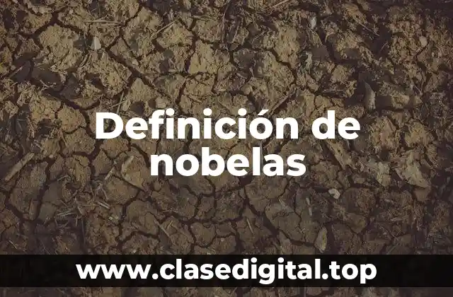 Definición de nobelas