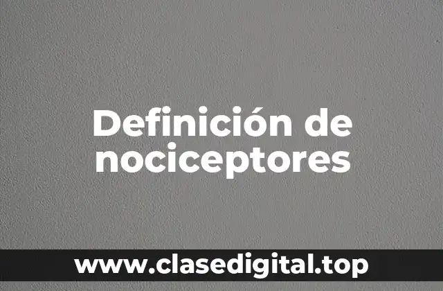 Definición de nociceptores
