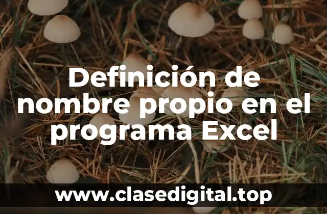 Definición de nombre propio en el programa Excel