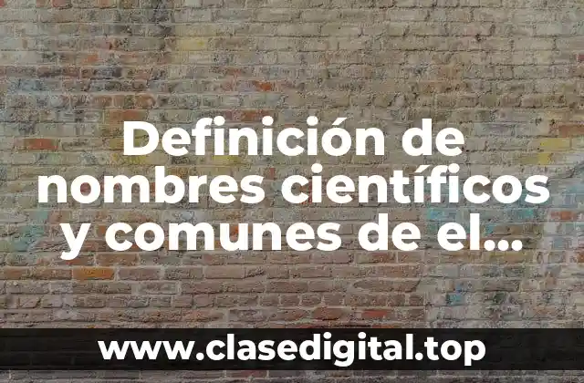 Definición de nombres científicos y comunes de el reino Alimania