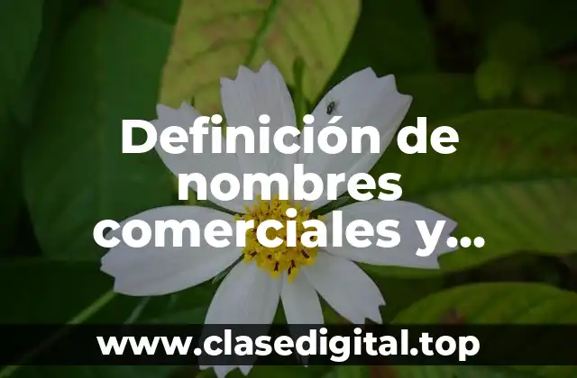 Definición de nombres comerciales y marcas