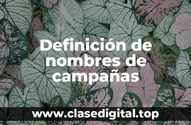 Definición de nombres de campañas