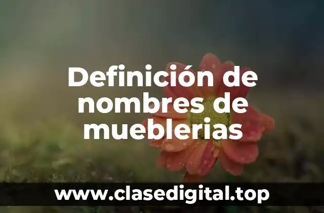 Definición de nombres de mueblerias