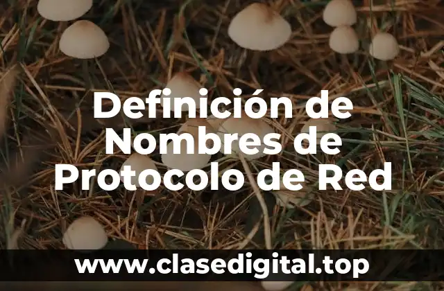 Definición de Nombres de Protocolo de Red