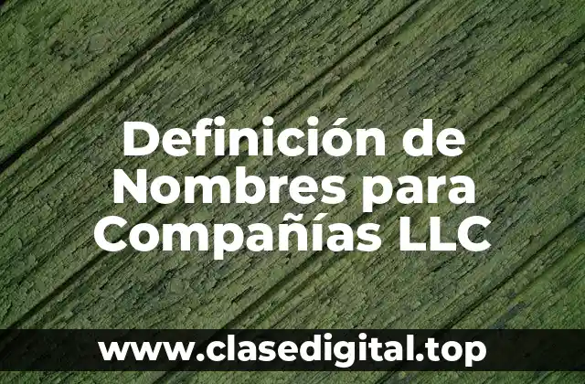 Definición de Nombres para Compañías LLC