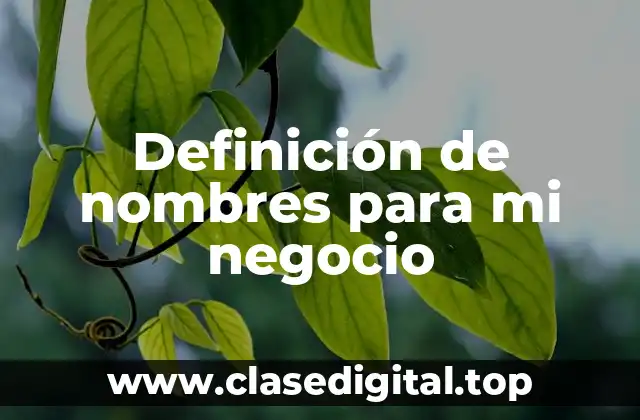 Definición de nombres para mi negocio