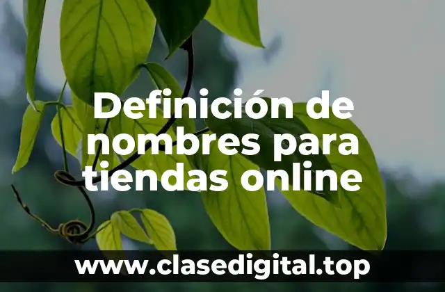Definición de nombres para tiendas online