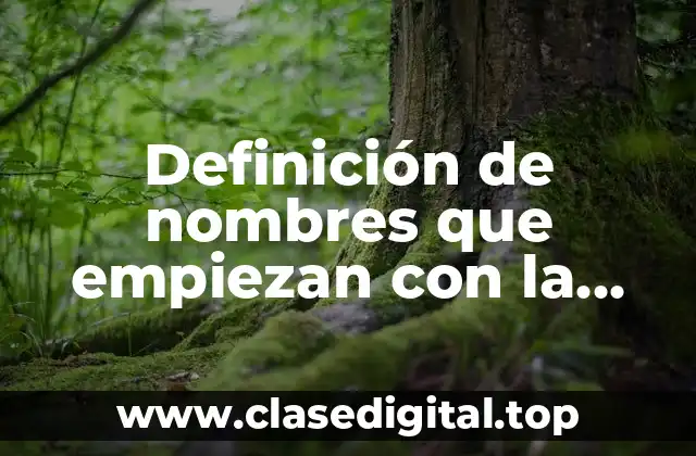 Definición de nombres que empiezan con la letra a