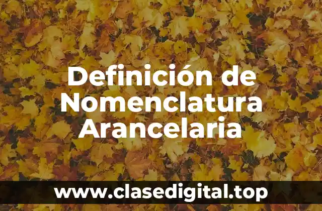 Definición de Nomenclatura Arancelaria