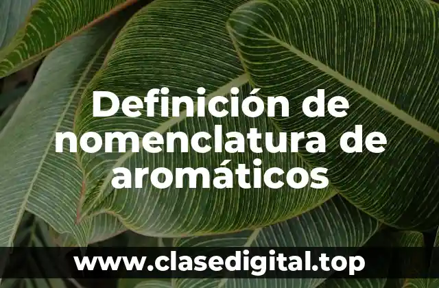 Definición de nomenclatura de aromáticos