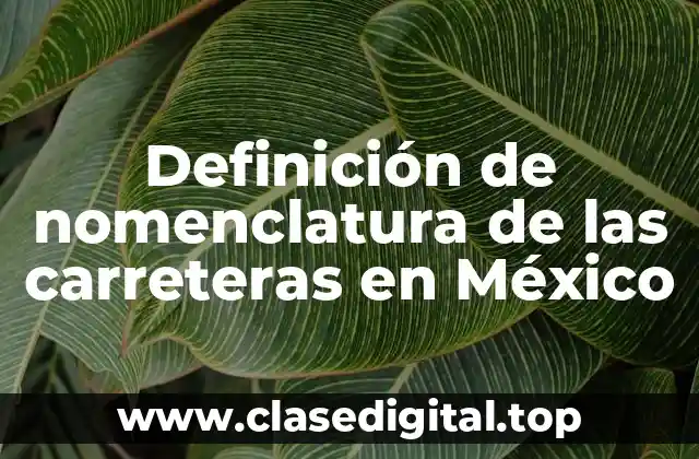 Definición de nomenclatura de las carreteras en México