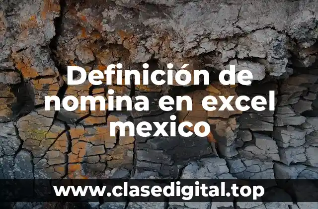 Definición de nomina en excel mexico