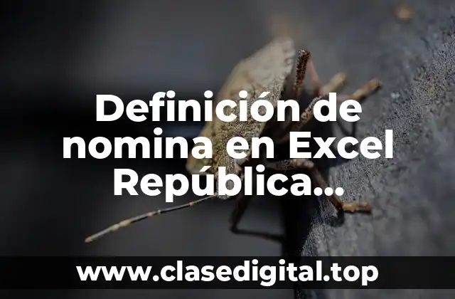 Definición de nomina en Excel República Dominicana