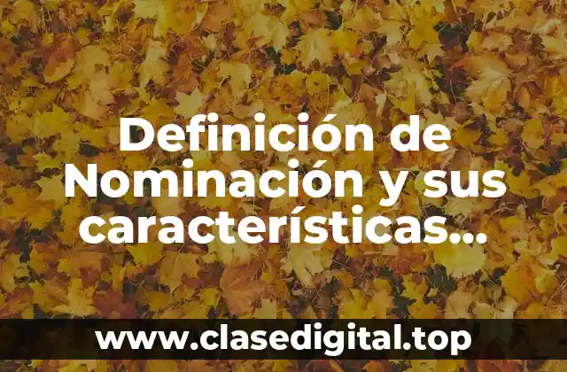 Definición de Nominación y sus características contables