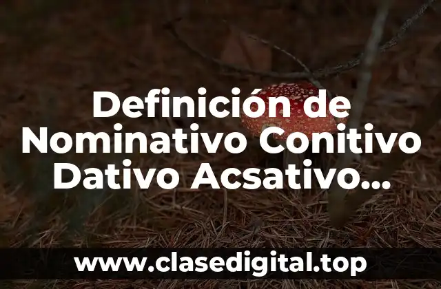 Definición de Nominativo Conitivo Dativo Acsativo Vocativo Ablativo