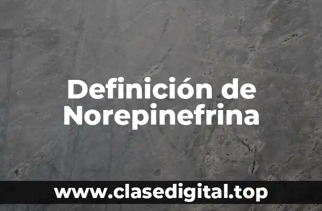 Definición de Norepinefrina