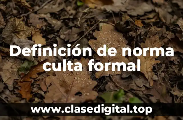 Definición de norma culta formal
