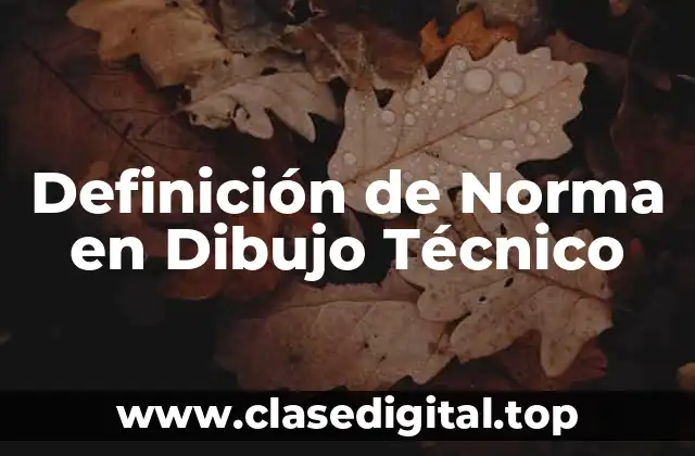 Definición Técnica de Norma en Dibujo Técnico