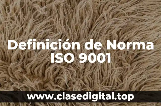 Definición de Norma ISO 9001