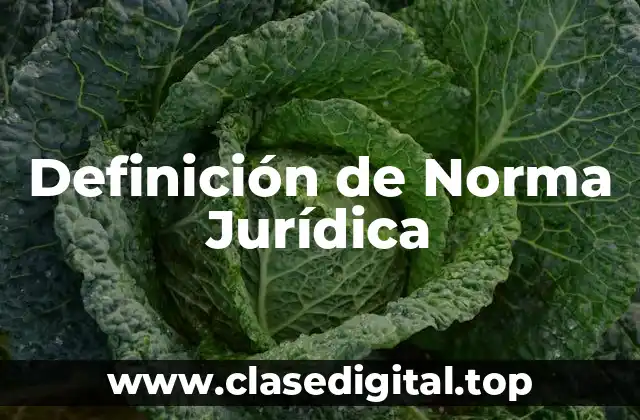 Definición Técnica de Norma Jurídica