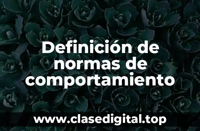 Definición técnica de normas de comportamiento