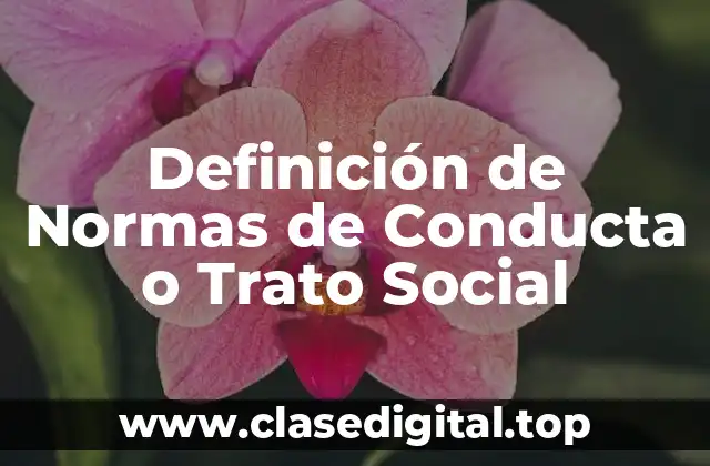 Definición técnica de Normas de Conducta o Trato Social
