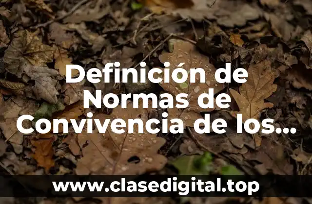 Definición de Normas de Convivencia de los Niños