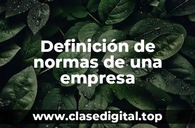 Definición de normas de una empresa