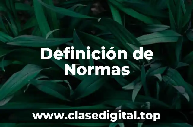 Definición técnica de Normas