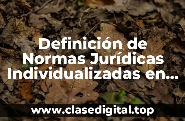 Definición de Normas Jurídicas Individualizadas en Derecho