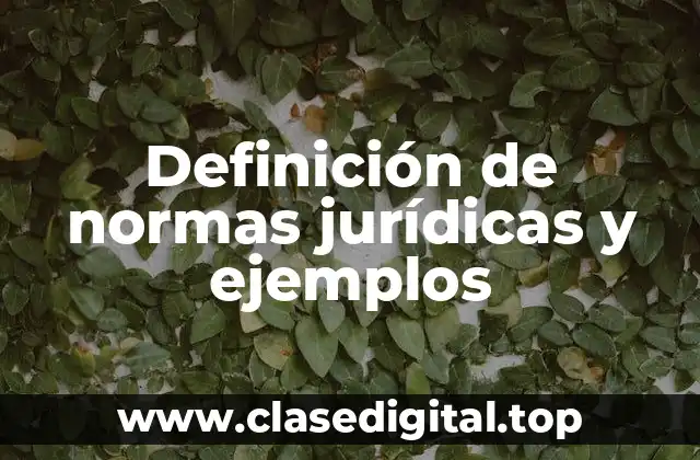 Definición de normas jurídicas y ejemplos