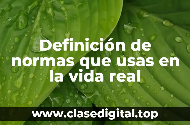 Ejemplos de normas que usas en la vida real