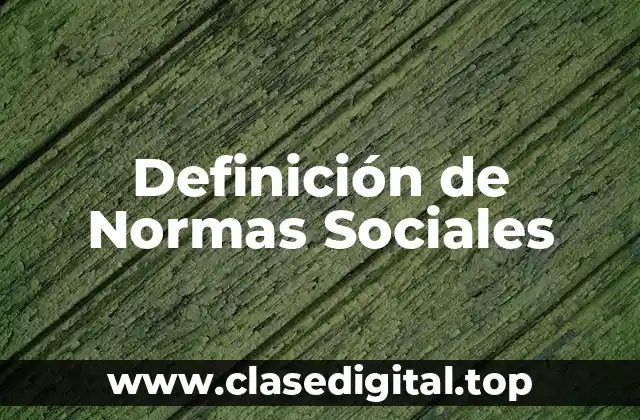 Definición técnica de Normas Sociales