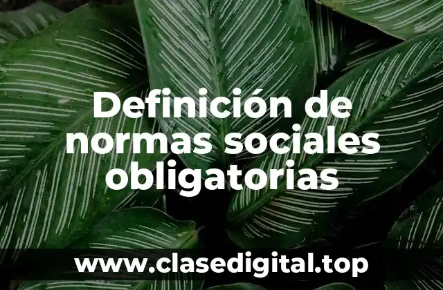 Definición de normas sociales obligatorias