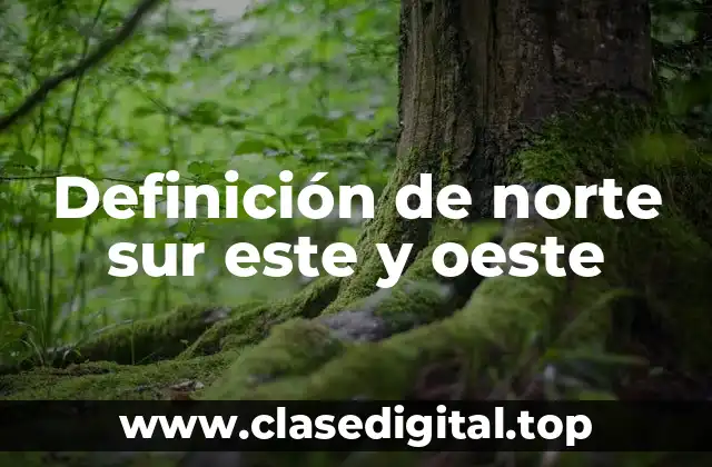 Definición de norte sur este y oeste