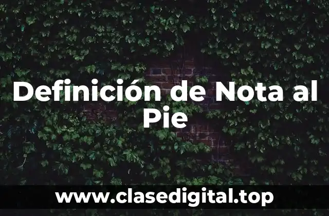Definición de Nota al Pie