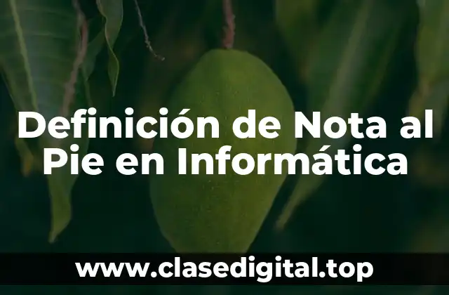 Definición de Nota al Pie en Informática