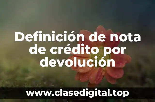 Definición de nota de crédito por devolución