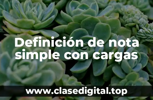 Ejemplos de nota simple con cargas