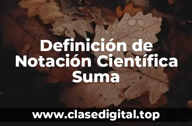 Definición de Notación Científica Suma