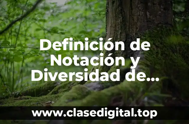 Definición de Notación y Diversidad de Ángulos