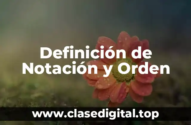 Definición de Notación y Orden